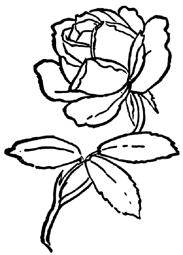 clipart rose outline - photo #45