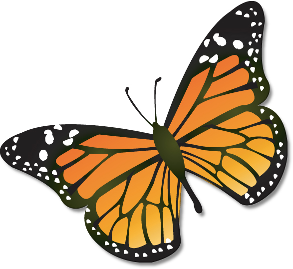 Monarch Butterfly USGS Clip Art Download