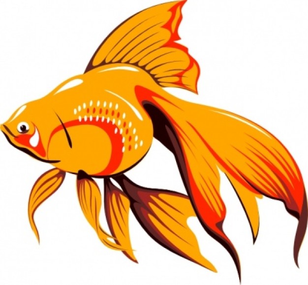Golden Fish clip art Vector | Free Download