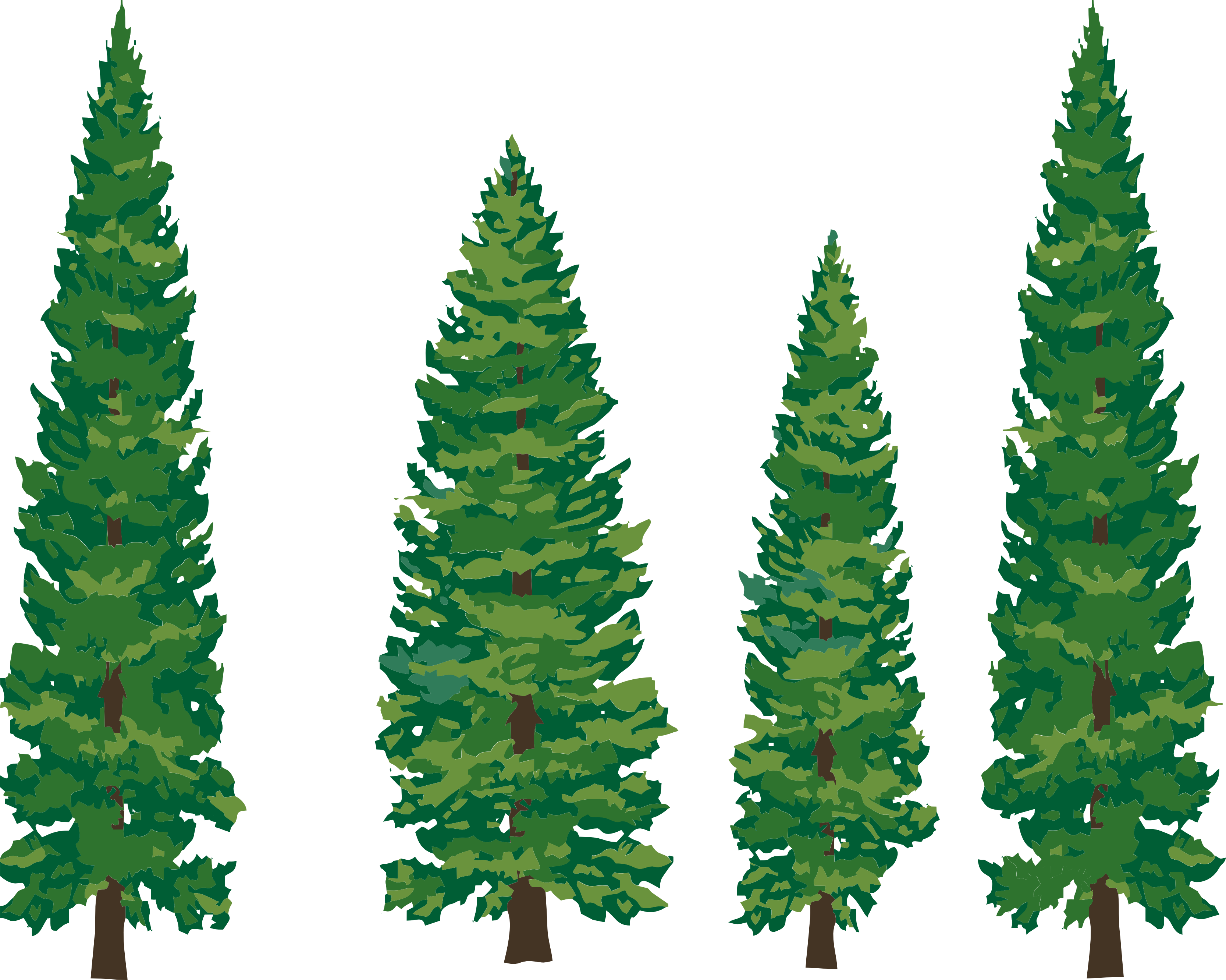 Images For > Spruce Tree Clip Art