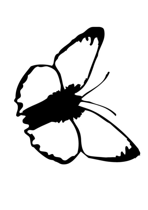 Butterflies Clipart Black And White | Images of Butterflies
