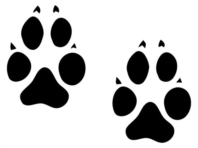 clip art animal footprints - photo #16