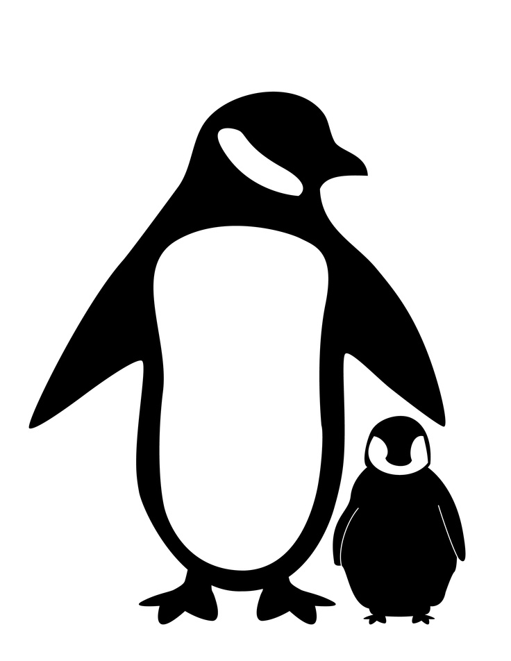 pingouins on Pinterest | 69 Pins