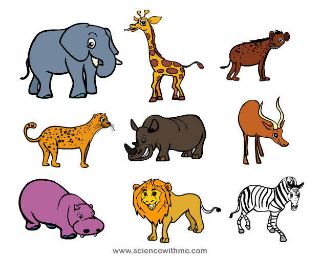 Learn about Safari Animals - Science for Kids and Science ...