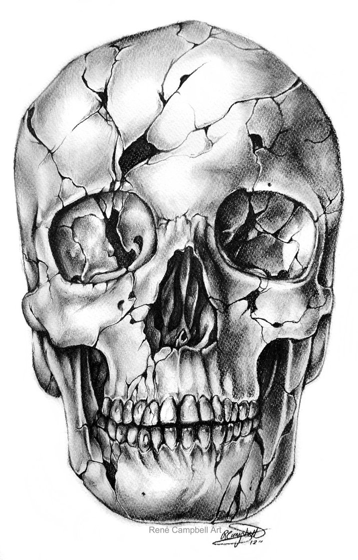 skull drawings by rené campbell | Tumblr