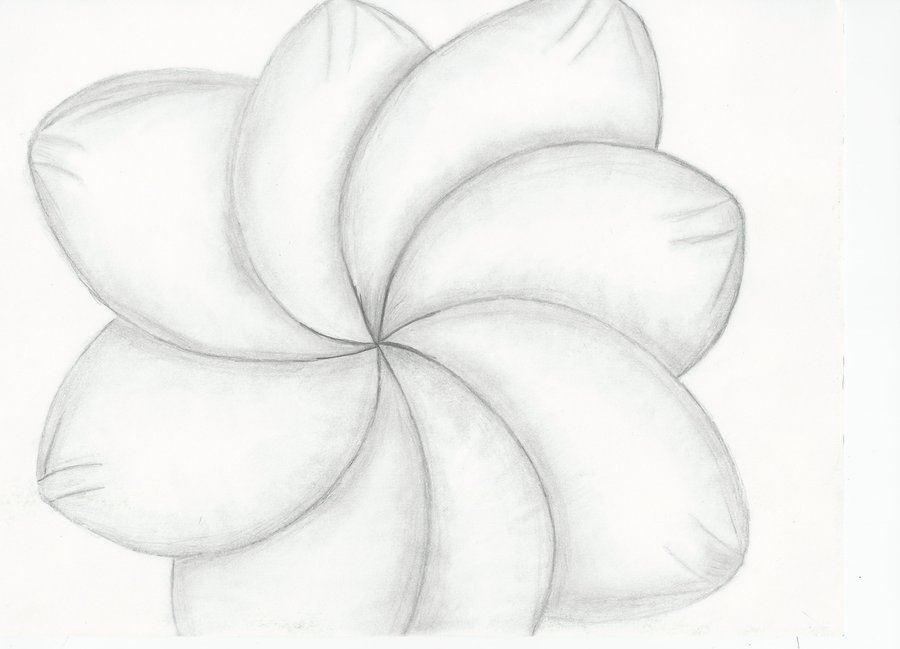 Another Flower Sketch by FieryTemper101 on DeviantArt