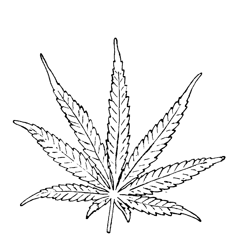 Easy Drawings Or Sketches Of Weed for Beginner