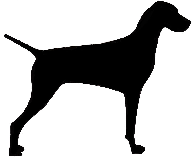 Scottish Terrier - Yorkshire Terrier