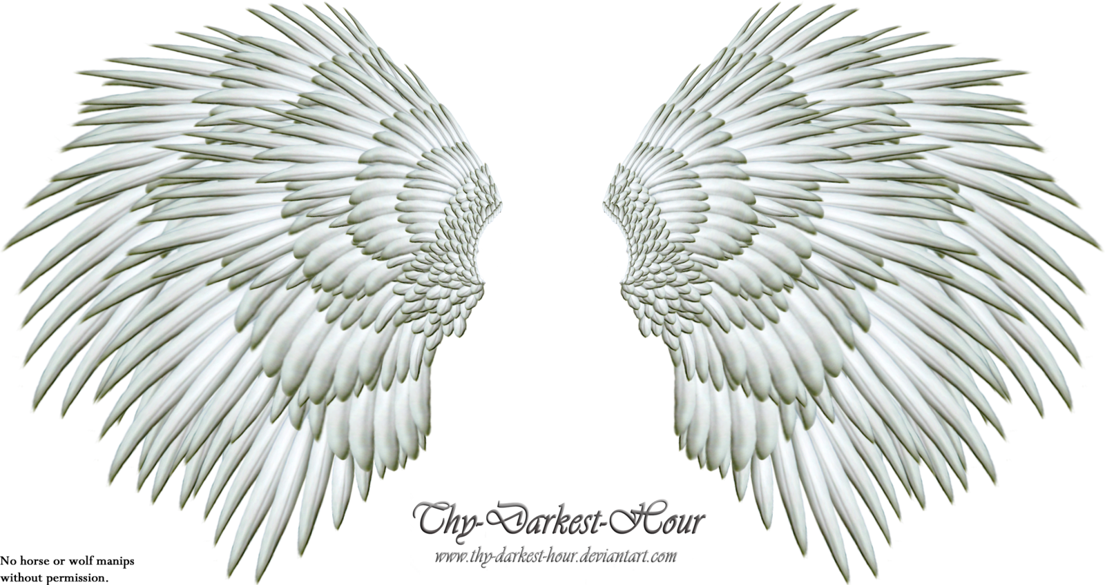 DeviantArt: More Like Angel Wings PNG 06 by Thy-Darkest-Hour