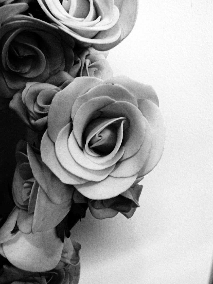 Black and White Silk Roses by Danielle23 on DeviantArt