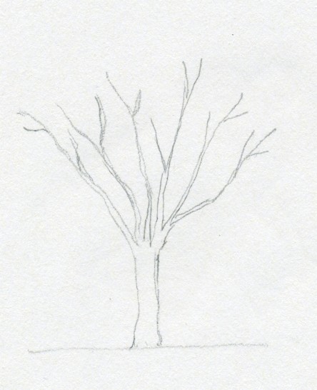 Draw A Tree Simply And Easily