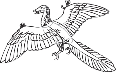 How to Draw Archaeopteryx in 7 Steps - HowStuffWorks