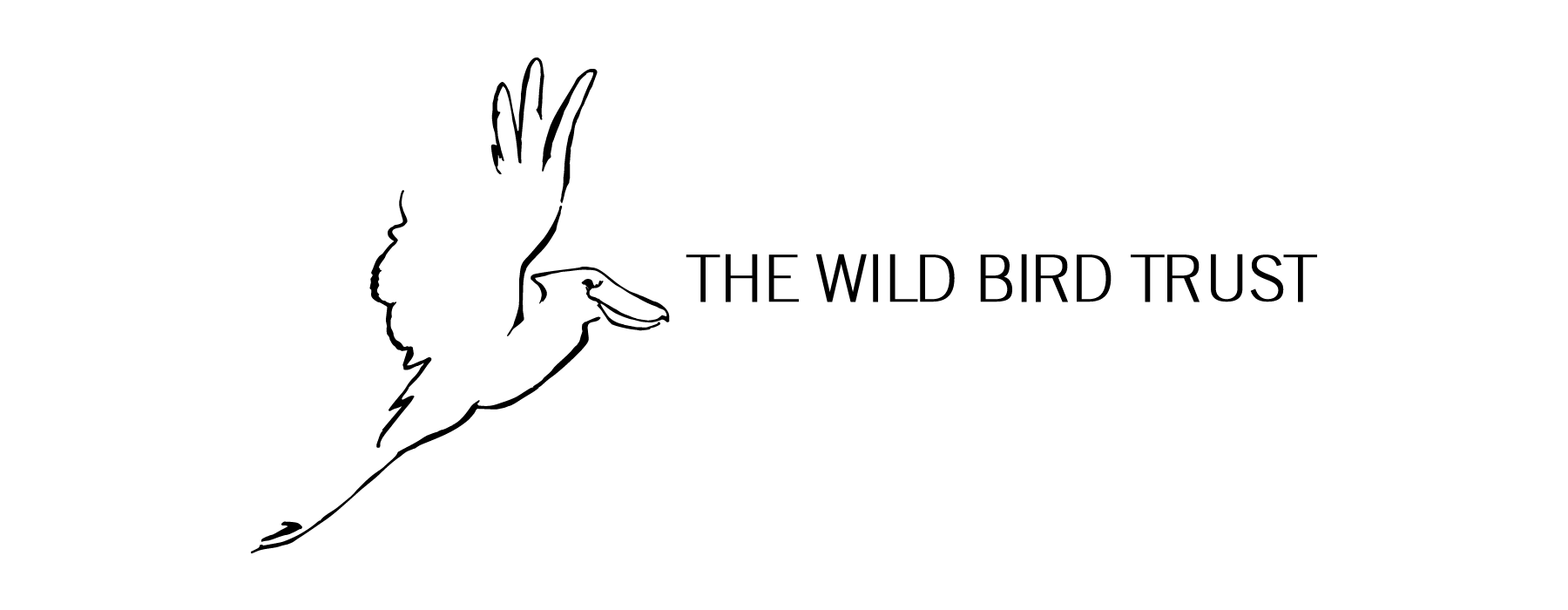 About The Wild Bird Trust | Wild Bird Trust