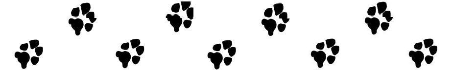 Chama Schools | dog-paw-print-clip-art-bw-divider