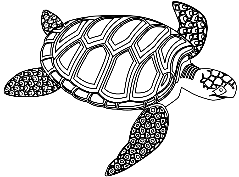 Turtle Clipart Black And White