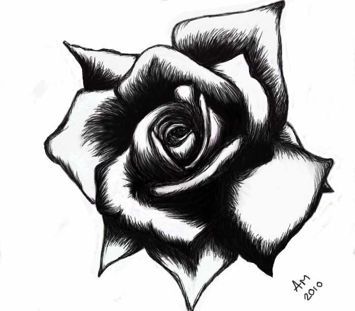 Pix For > Black And White Rose Design