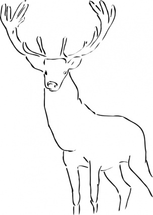 Outline Deer Wild Animal Mammal Stag Antlers clip arts, free clip ...