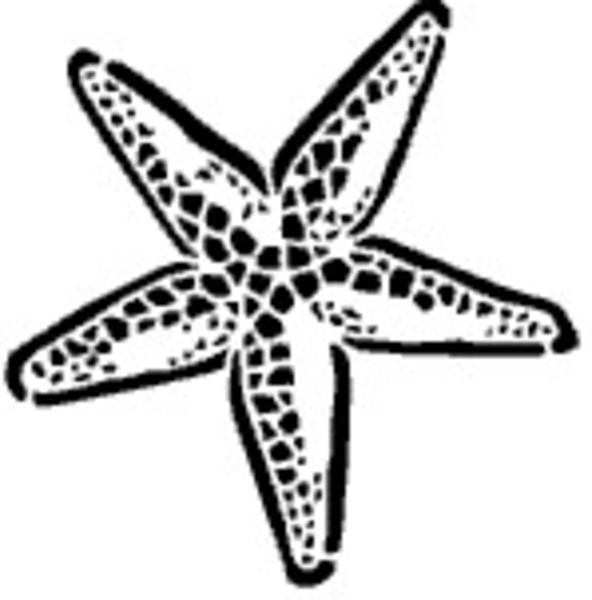 Starfish image - vector clip art online, royalty free & public domain