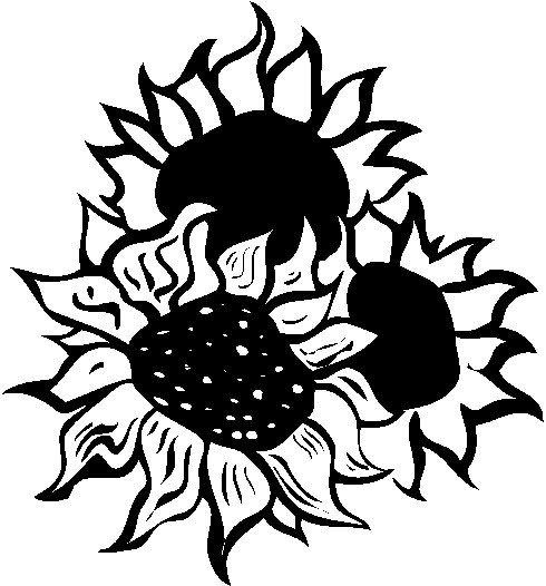 Sunflowers Black And White Clipart Images & Pictures - Becuo