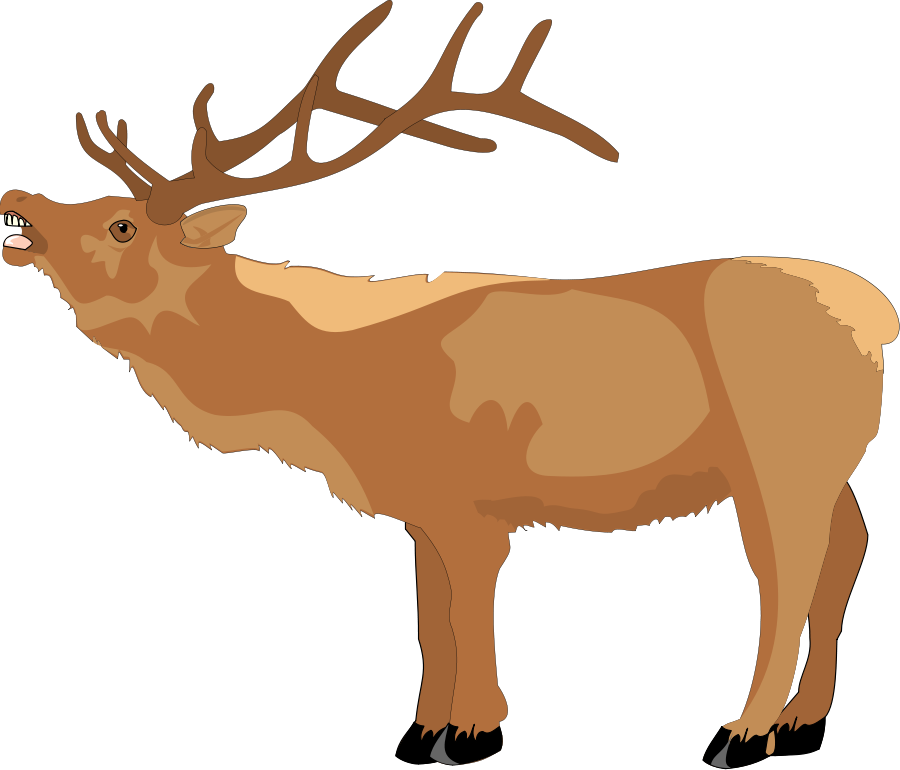 Animal 5 Picture Clipart, vector clip art online, royalty free ...