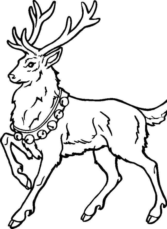 Cool Christmas Reindeer Drawings Images & Pictures - Becuo