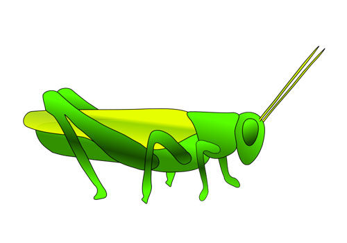 Cute Grasshopper | vector insects clipart