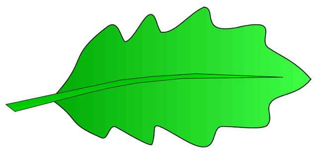 Green oak leaf sketch clipart, lge 12 cm long | Flickr - Photo ...