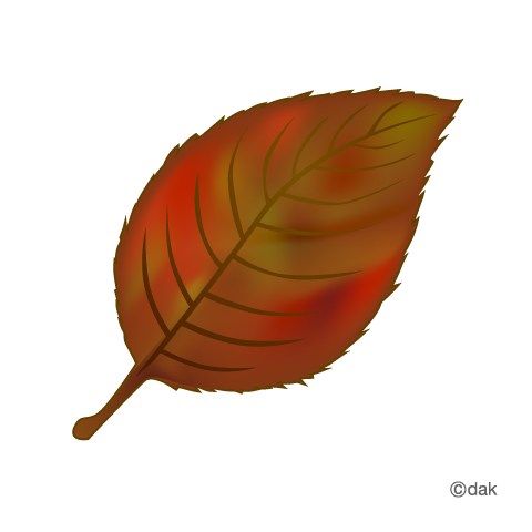 Fallen leaves with autumn leaves｜Pictures of clipart and graphic ...