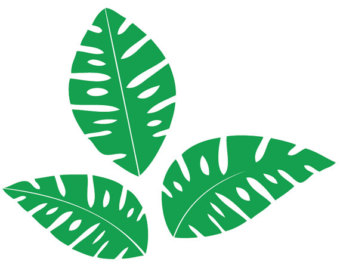 Jungle Leaf Template - Cliparts.co
