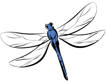 The Dragonfly Effect - Insights For Life - ClipArt Best - ClipArt Best