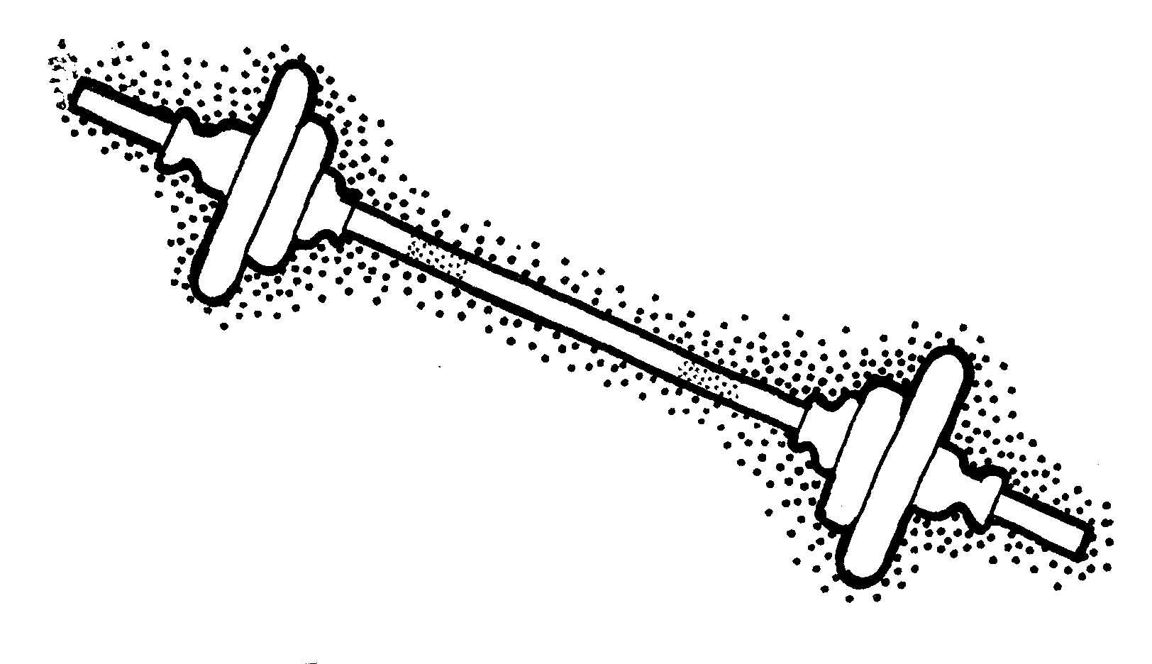 Images For > Barbell Images Clip Art