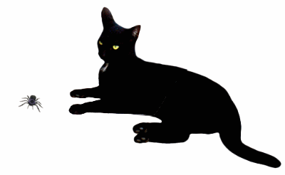blackcat_spiderm.gif