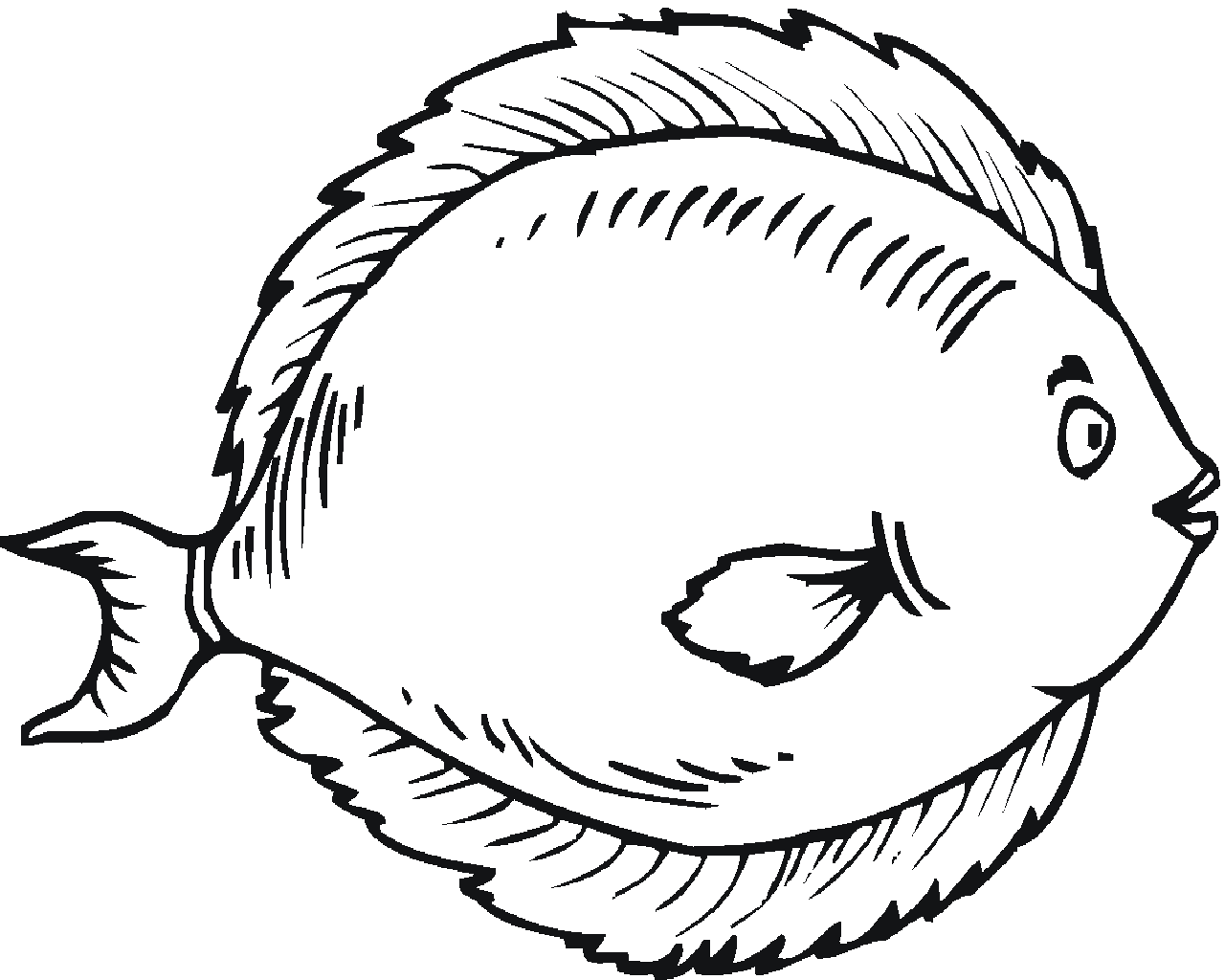 Fish Drawing Images - Cliparts.co