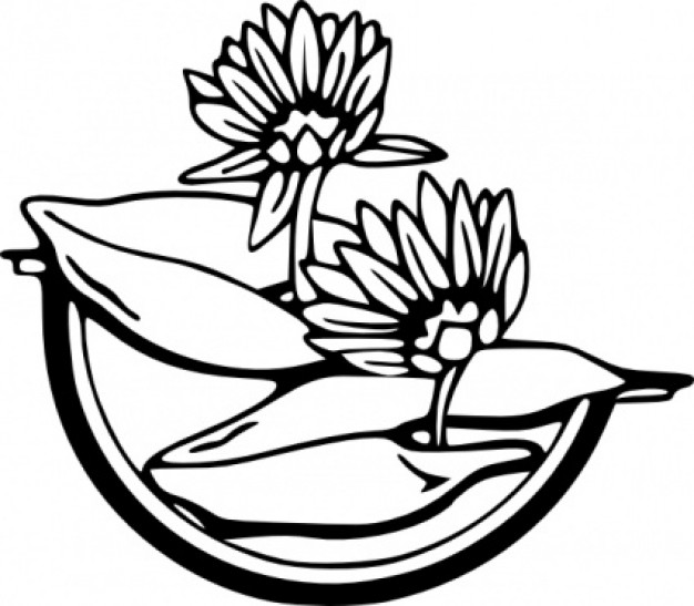 Water Lily clip art Vector | Free Download