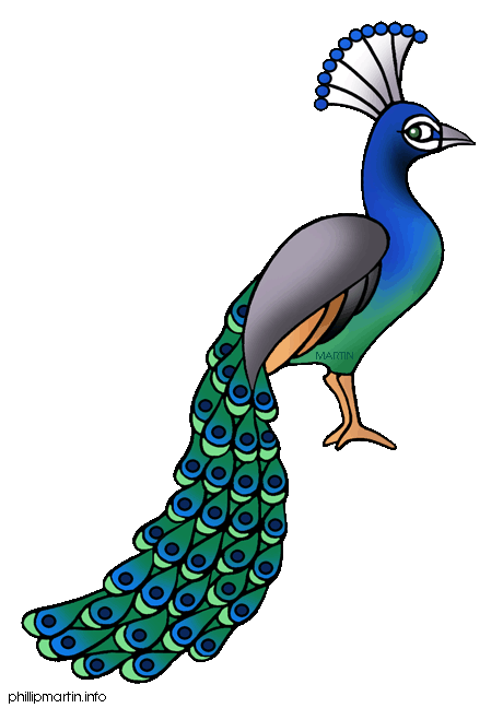 Free Animals Clip Art by Phillip Martin, Peacock