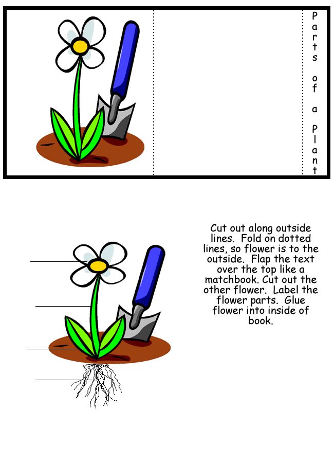 Free Plants Lapbook - Homeschool Helper