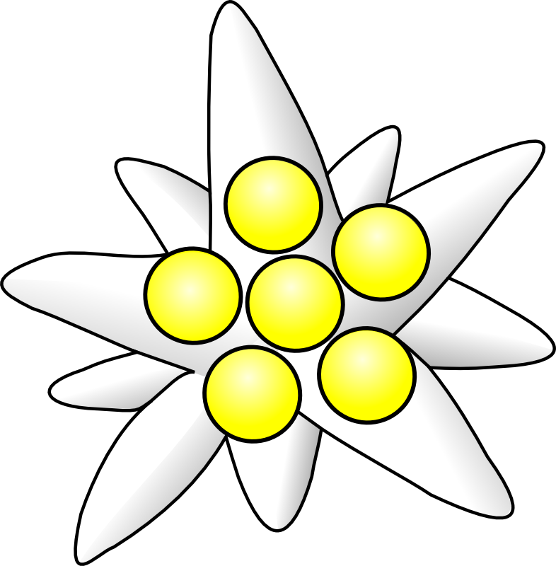 Clipart - edelweiss