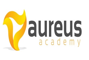 Music Teacher (Violin & Guitar) - Aureus Group Pte Ltd [323519 ...