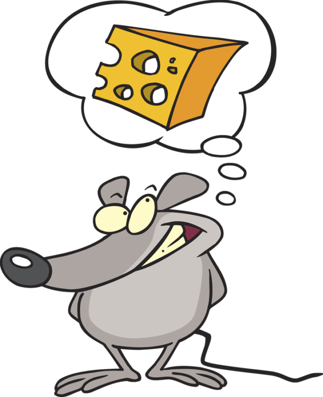 Who Moved my Cheese by Spencer Johson - A Gem small and valuable!