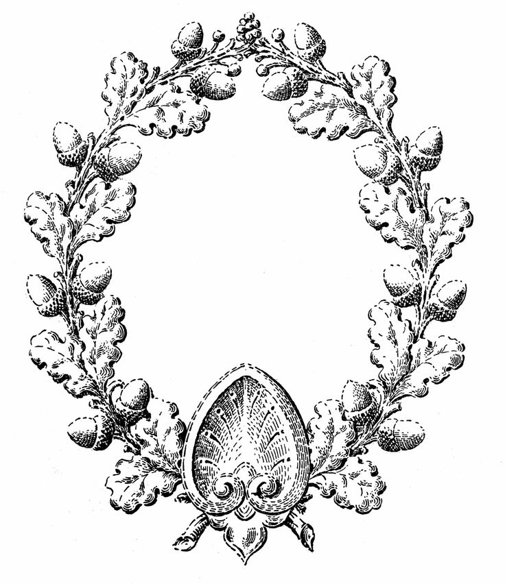 oak leaf clip art - Google Search | The Pennfield Files | Pinterest