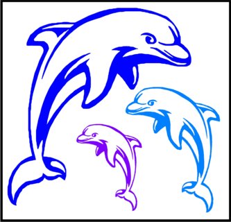 Dolphin Wall Graphic kit, Vinyl Wall Graphic, Vinyl Wall Decal ...