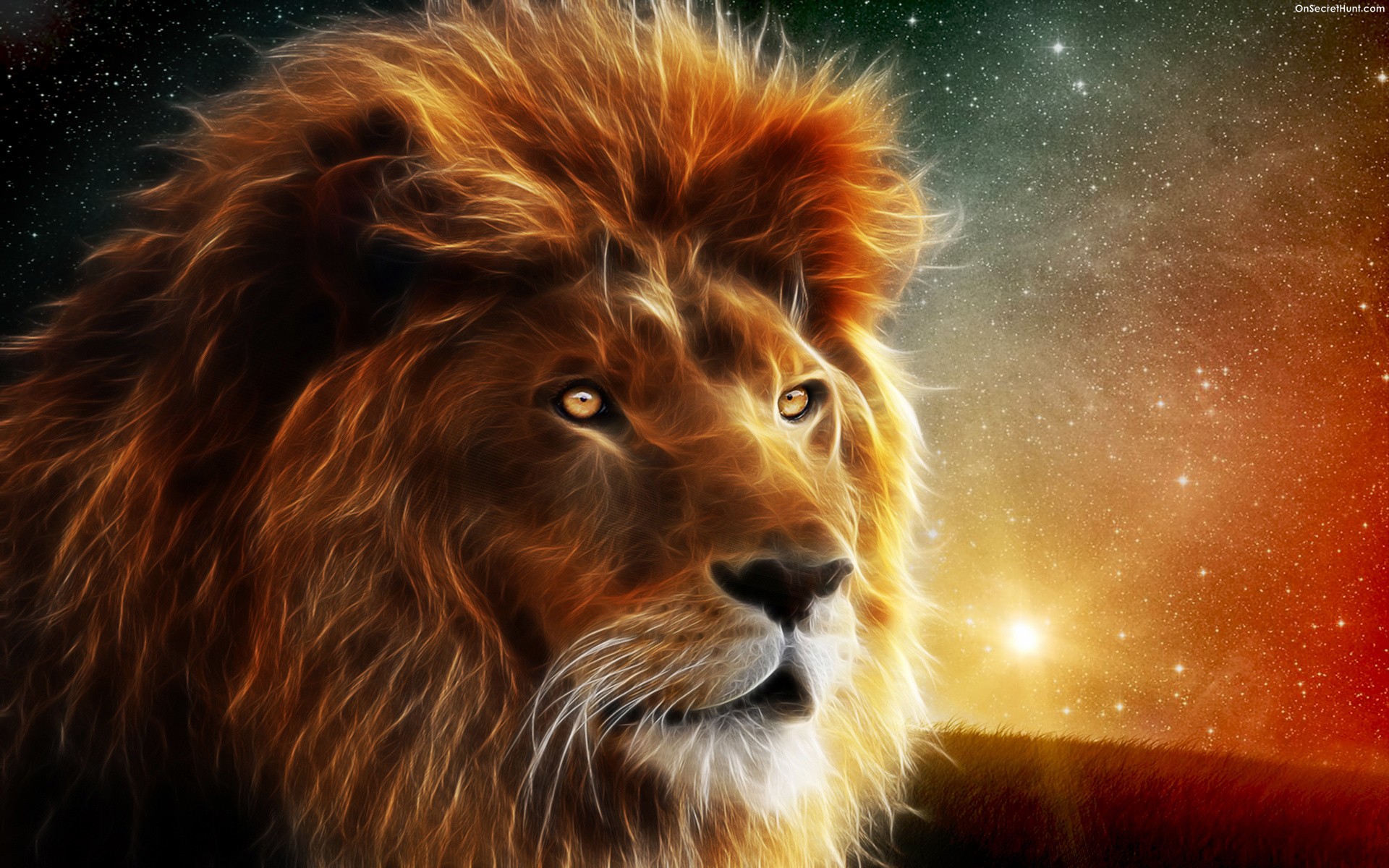 Animated Fire Lion Animal Space | On Secret Hunt