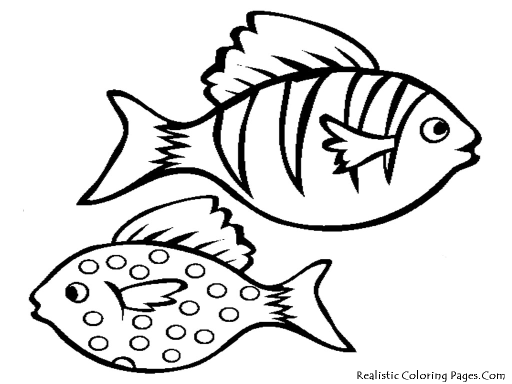Cartoon Fish Drawings, Free Printable Fish Coloring Pages ...