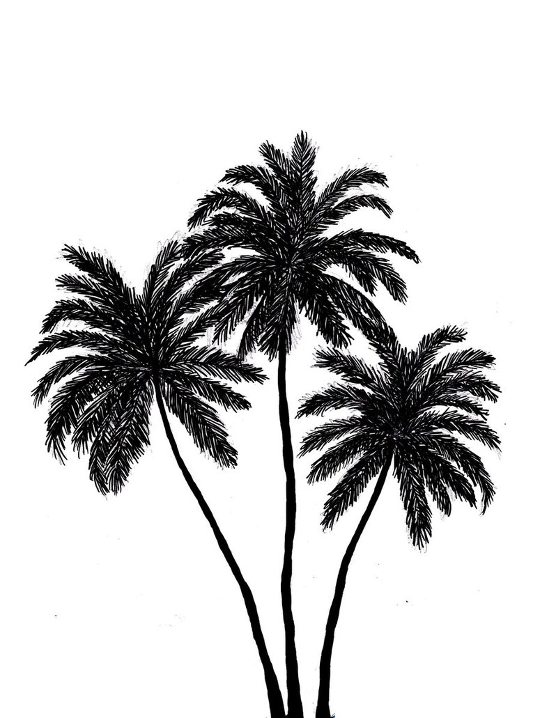 Palm Trees Silhouette by disasterDamsel on DeviantArt
