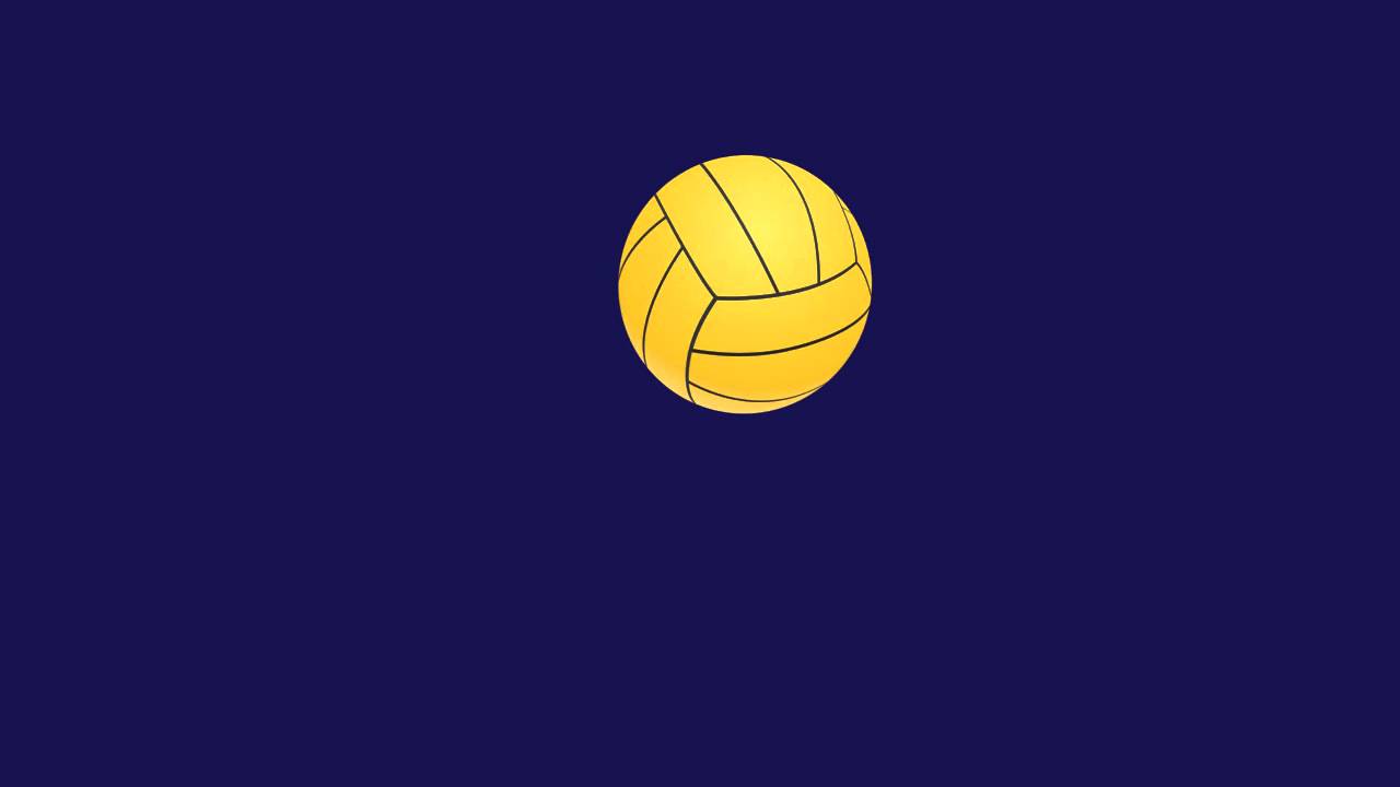 Animation of Volleyball bounce - YouTube