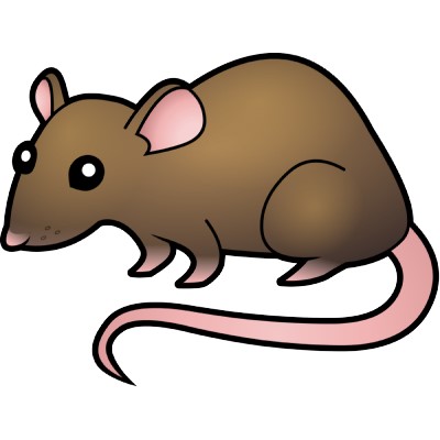 Cartoon Rat Clipart - Free Clip Art Images