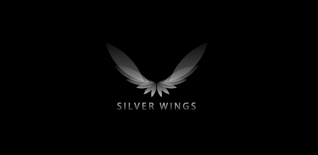 Silver Wings Round 2 - ED Forums