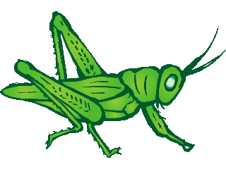 Grasshoppers Graphics and Animated Gifs