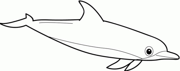 printable dolphin coloring pages | Kids Play Color