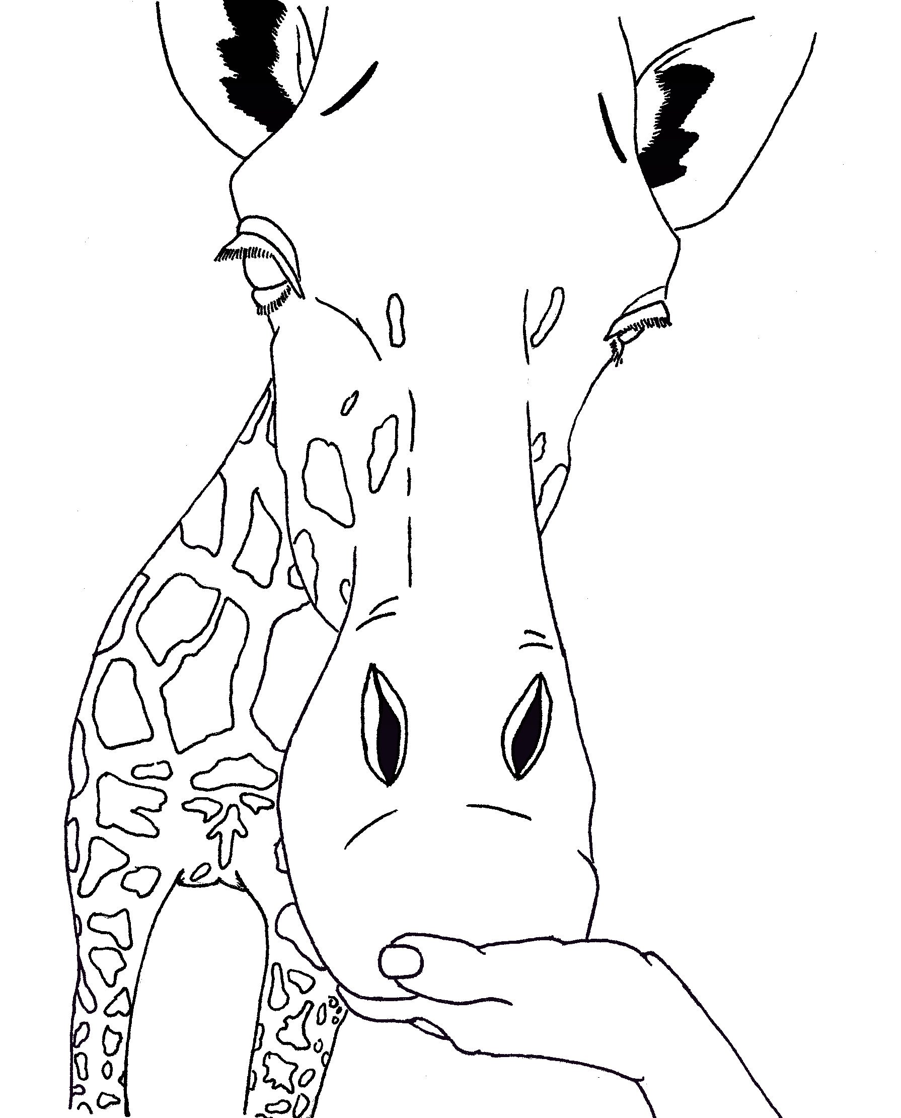 Coloring-Page-of-Giraffe-Face.jpg